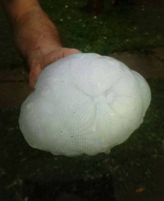 12512643_10209302675829480_5666941601308330611_n